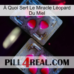 À Quoi Sert Le Miracle Léopard Du Miel 15